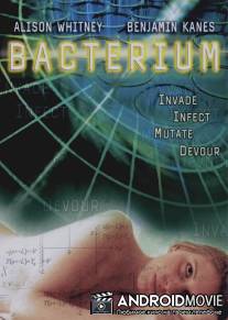 Бактерия / Bacterium