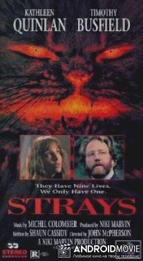 Бездомные твари / Strays