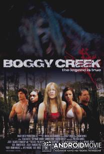 Богги Крик / Boggy Creek