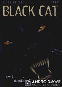 Черная кошка / Black Cat