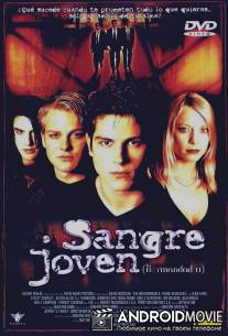 Чернокнижник: Новое поколение / Brotherhood 2: Young Warlocks, The