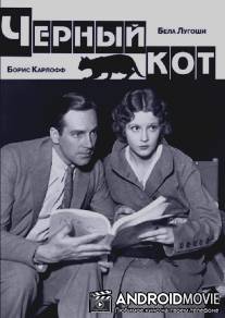 Черный кот / Black Cat, The