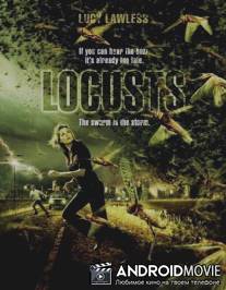 День саранчи / Locusts