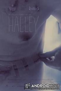 Галлея / Halley