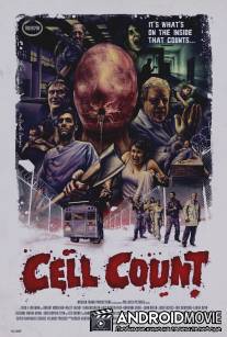 Количество клеток / Cell Count