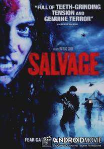 Контейнер / Salvage