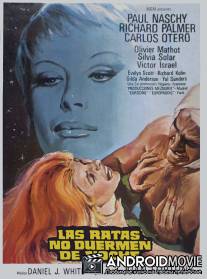 Крысы не спят по ночам / Las ratas no duermen de noche