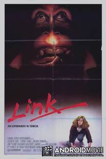 Линк / Link