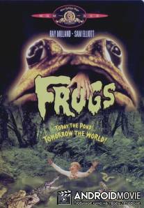 Лягушки / Frogs