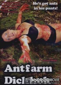 Муравьиная членоферма / Antfarm Dickhole
