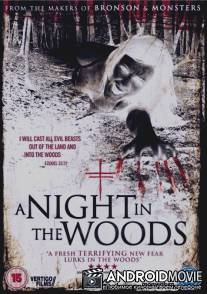 Ночь в лесу / A Night in the Woods