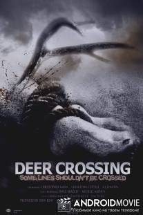 Оленья тропа / Deer Crossing