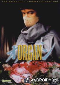 Орган / Organ