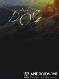 Пес прерий / Prairie Dog