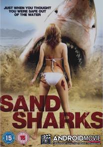 Песчаные акулы / Sand Sharks