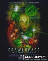 Подвал / Crawlspace