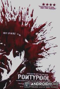 Понтипул / Pontypool