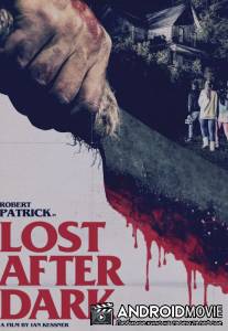 Потерявшийся во тьме / Lost After Dark