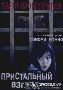 Пристальный взгляд / Nozokime