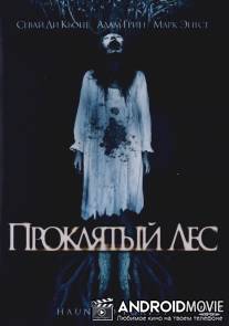 Проклятый лес / Haunted Forest