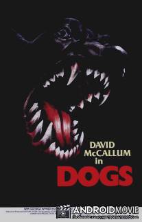 Псы / Dogs