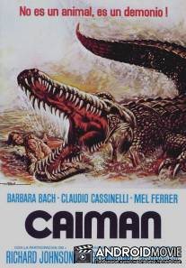 Река большого крокодила / Il fiume del grande caimano