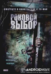 Роковой выбор / Blackout