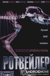 Ротвейлер / Rottweiler
