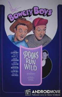 Spooks Run Wild