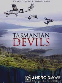 Тасманские дьяволы / Tasmanian Devils