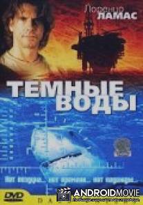 Темные воды / Dark Waters