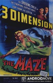 The Maze