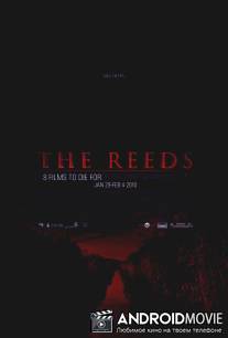 Тростник / Reeds, The