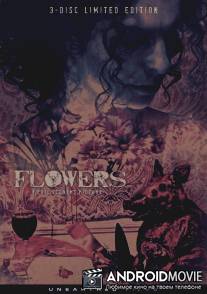 Цветы / Flowers