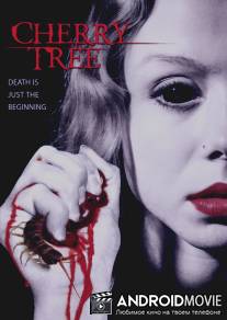 Вишневое дерево / Cherry Tree