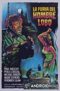Ярость оборотня / La furia del Hombre Lobo
