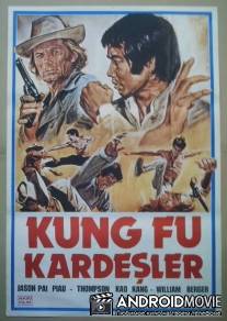Мастер-убийца / Kung Fu nel pazzo West