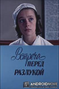 Встреча перед разлукой / Vstrecha pered razlukoy