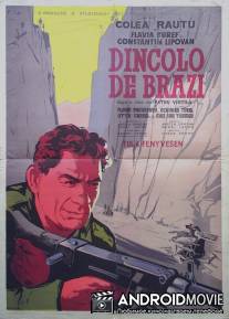 За елями / Dincolo de brazi